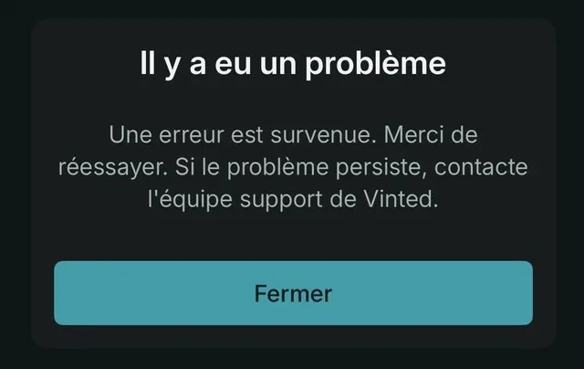 bug vinted aujourd'hui bug vinted aujourd'hui